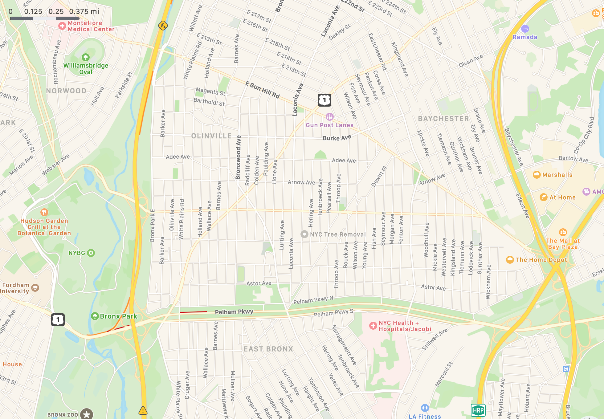 NYC Tree Removal Best NYC tree removal company